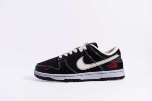 Nike SB Dunk Low Retro&  The North Face